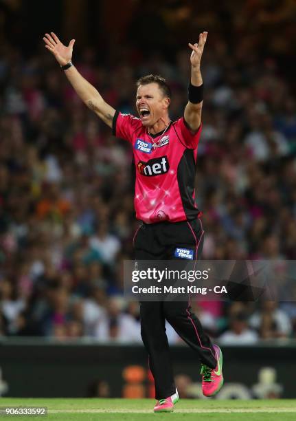 Johan Botha of the Sixers appeals during the Big Bash League match between the Sydney Sixers and the Brisbane Heat at Sydney Cricket Ground on...