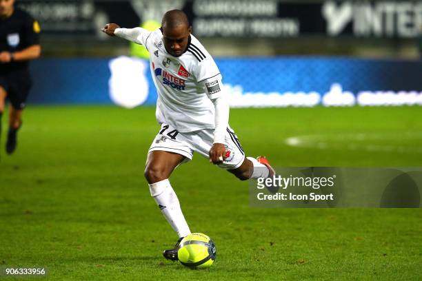 Gael of Amiens during the Ligue 1 match between Amiens SC and Montpellier Herault SC at Stade de la Licorne on January 17, 2018 in Amiens, .