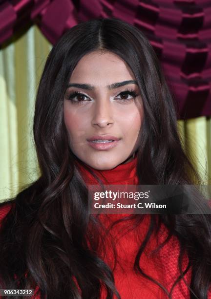 Sonam Kapoor attends a photocall for 'Pad Man' at The Bentley Hotel on January 18, 2018 in London, England.