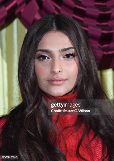 Sonam Kapoor attends a photocall for 'Pad Man' at The Bentley Hotel on January 18, 2018 in London, England.