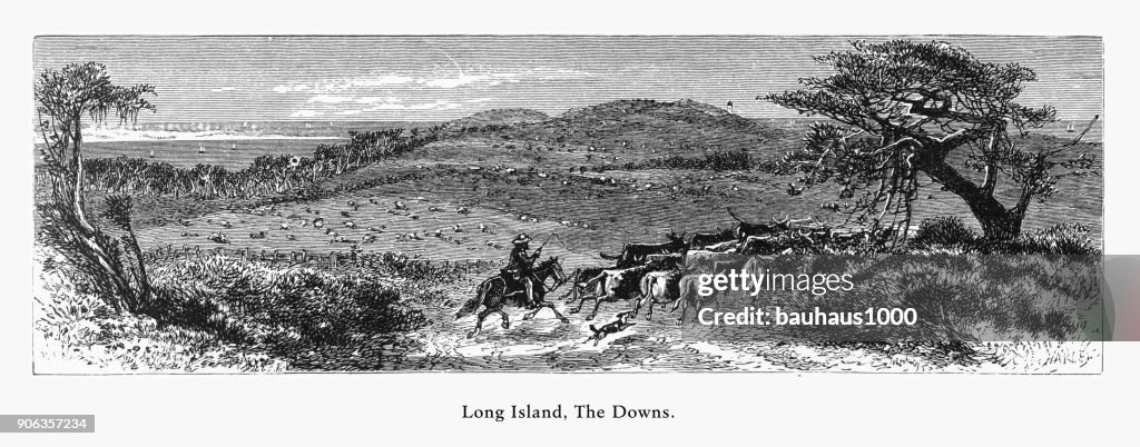 East Hampton, The Downs, Long Island, New York, United States, American Victorian Engraving, 1872