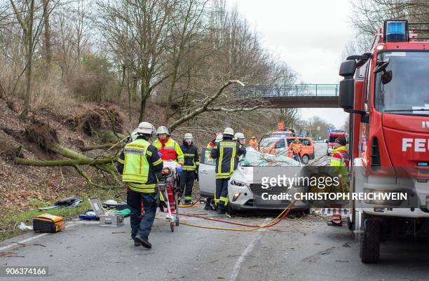 Firefighters work on a car after a tree fell on it, heavily injuring the driver on January 18, 2018 on a road near Moers, western Germany. - Weather...