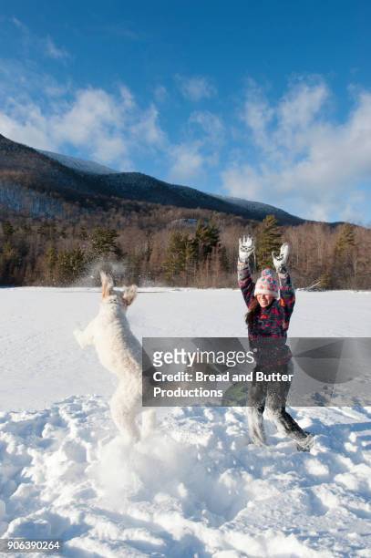 young adult woman and dog playing in the snow - manchester vermont fotografías e imágenes de stock