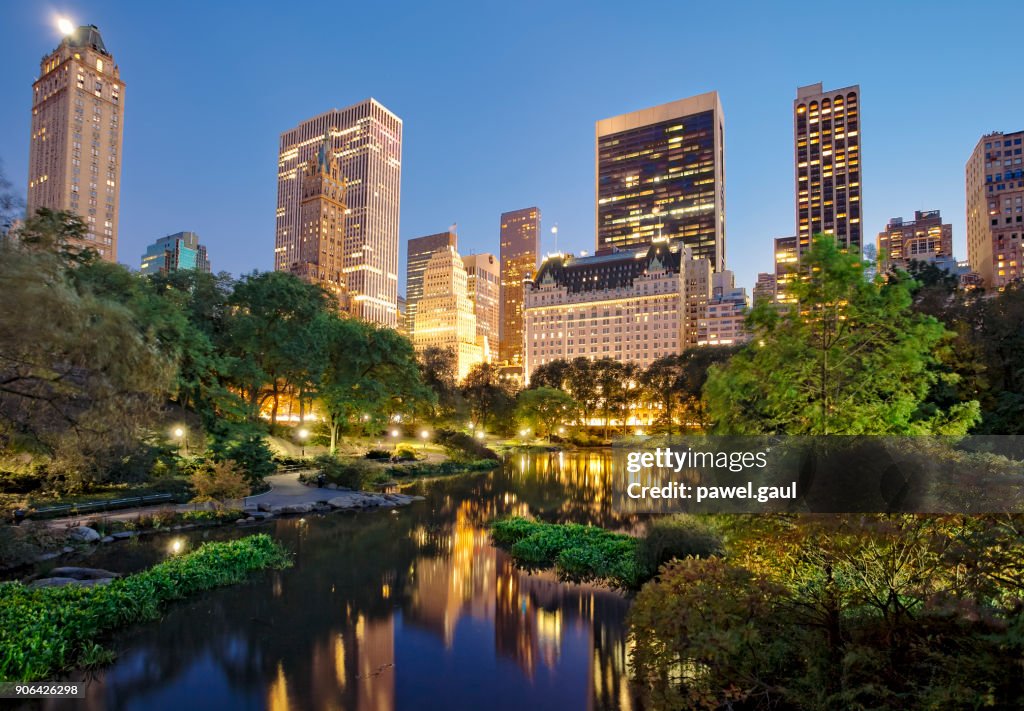 Central Park at night