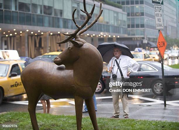 François-Xavier Lalanne's Wapiti a North-American deer looks over its shoulder, as a man studies it on Park Ave September 12, 2009 in New York. The...