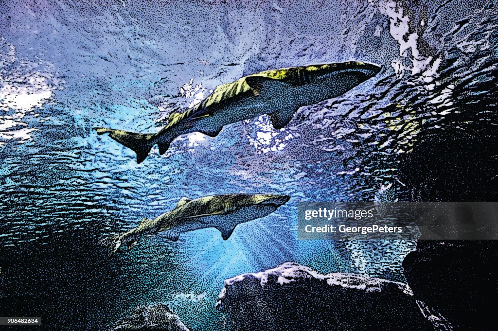 Sharks swimming above a coral reef