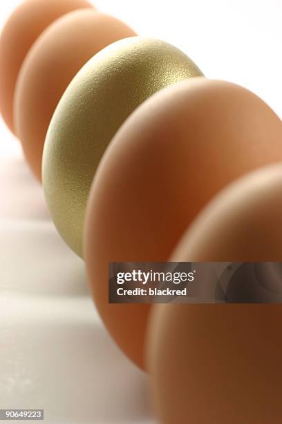 golden egg standing out from the crowd of ordinary eggs - fat cat stock pictures, royalty-free photos & images