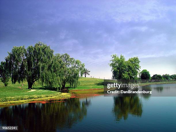 view at the pond - rural kentucky stock pictures, royalty-free photos & images