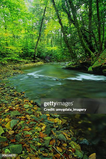 Appalachian Rivers Appalachian Mountains Stream Photos and Premium High Res Pictures ...