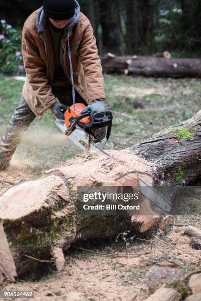Log Chips Photos and Premium High Res Pictures - Getty Images