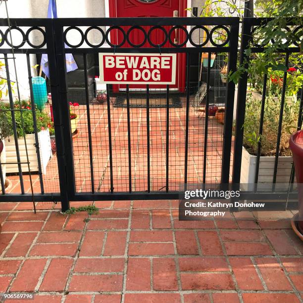 beware dog signs - beware of dog stock pictures, royalty-free photos & images