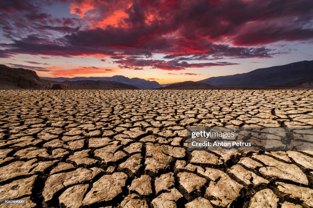 Sunset over cracked soil in the desert. Global warming