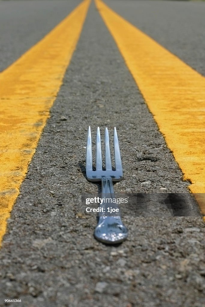 When you come to a fork in the road