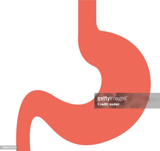 ilustraciones, imágenes clip art, dibujos animados e iconos de stock de icono de estómago - gastric ulcer