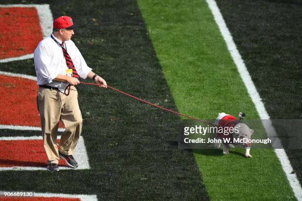 Rose Bowl: Georgia mascot Uga walking with camera strapped on back on field before game vs Oklahoma at Rose Bowl Stadium. Pasadena, CA 1/1/2018...
