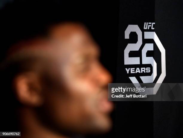 View of the UFC 25th Anniversary logo during the UFC 220 Ultimate Media Day at Fenway Park on January 18, 2018 in Boston, Massachusetts.