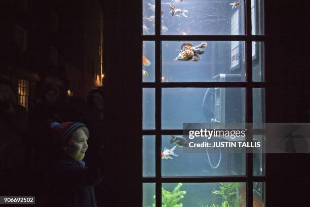 Boy looks at fish in the Aquarium by artists Benedetto Bufalino and Benoit Deseille, on show as part of the Lumiere light festival in London on...