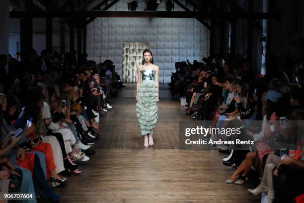 Model walks the catwalk at the Marina Hoermanseder Defile during 'Der Berliner Salon' AW 18/19 at Von Greifswald on January 18, 2018 in Berlin,...