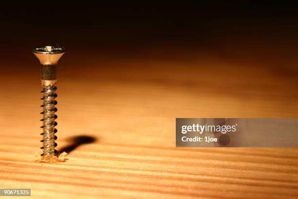 Felipe Screw 78 Phillips Screw Stock Photos, High-Res Pictures, and Images - Getty ...