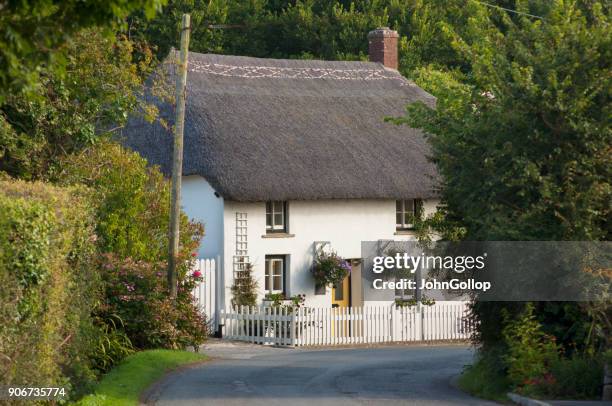 thatched cottage - thatched roof stock pictures, royalty-free photos & images