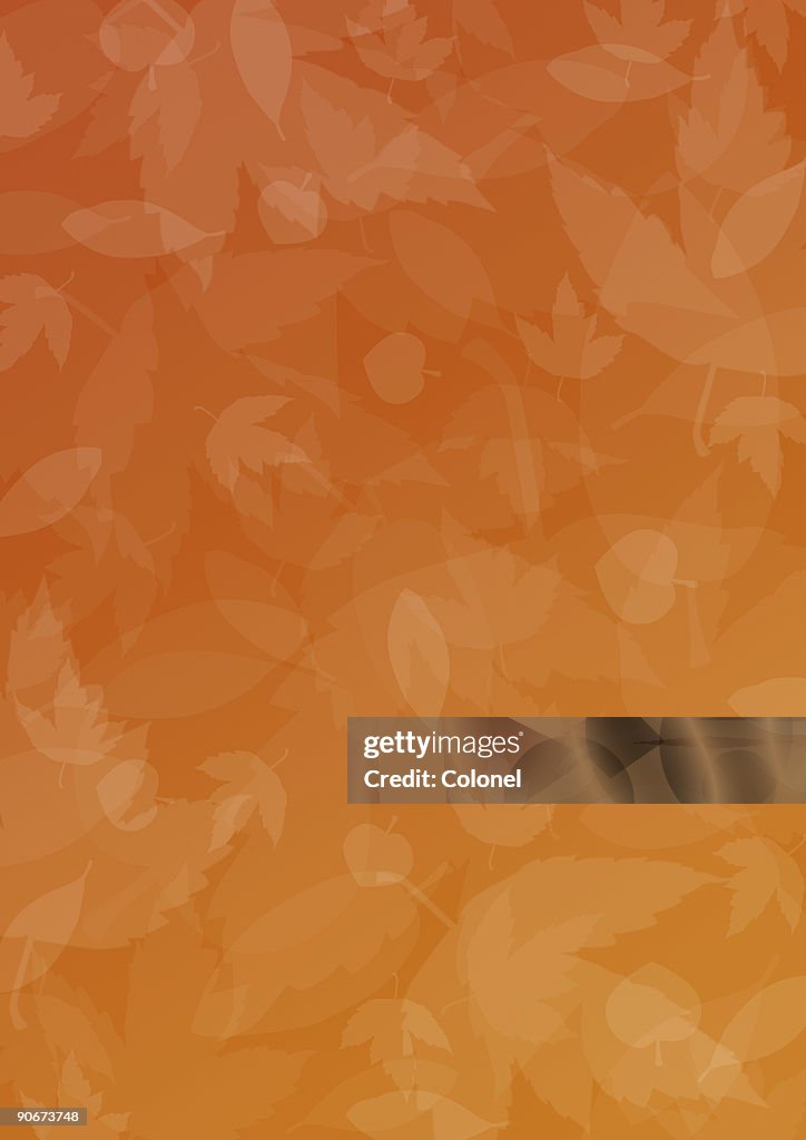 Seasonal 1 (outono/outono