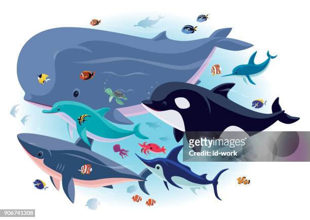 stockillustraties, clipart, cartoons en iconen met zeedieren met tropische vissen - marlin