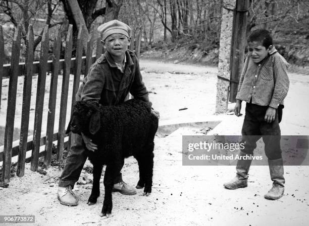 Two boys with a karakul shep near Samarkand in Uzbekistan, Soviet Union, 1970s.