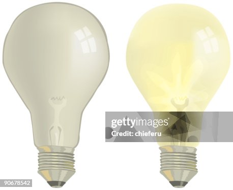 Light Bulbs Light Bulbs
