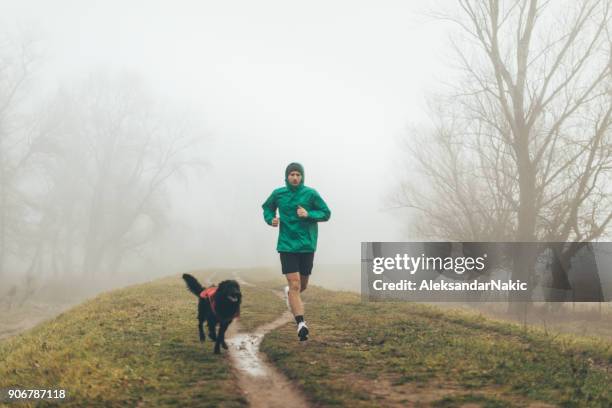 aktiver junger mann mit seinem hund joggen - run park stock-fotos und bilder