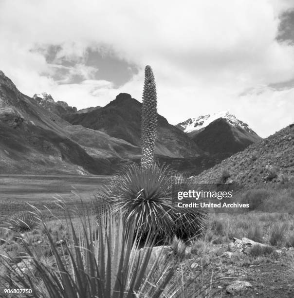 Landscape in the valley Callejon de Huaylas at the Andes mountain range, Peru 1960s.