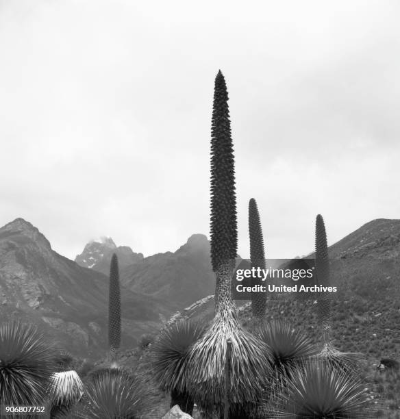 Landscape in the valley Callejon de Huaylas at the Andes mountain range, Peru 1960s.