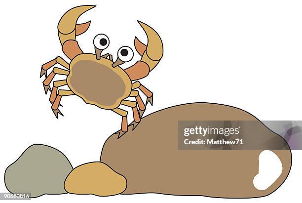 crab auf rocks - fischfutter stock-grafiken, -clipart, -cartoons und -symbole