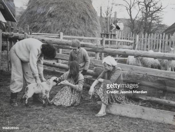 vintage photo of children feeding little lamb - divisa da calcio - fotografias e filmes do acervo