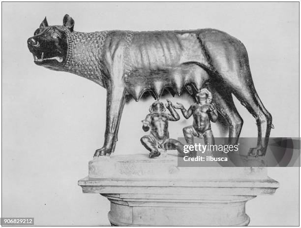 Romanulus 261 Romulus And Remus Statue Stock Photos, High-Res Pictures, and ...