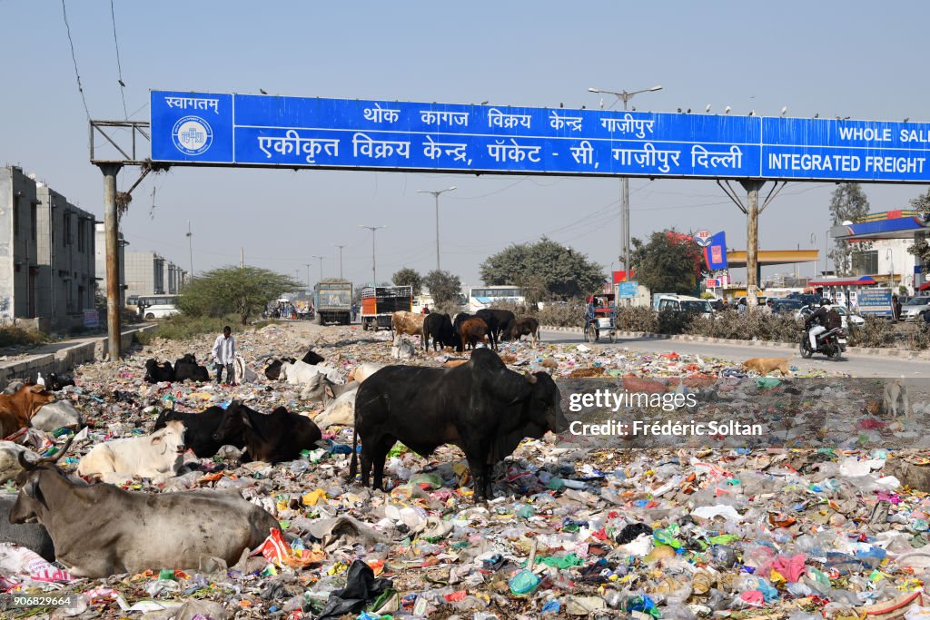 India : Illustration
