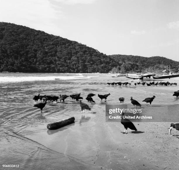 At the beach of Guarujà, Brasil 1966.