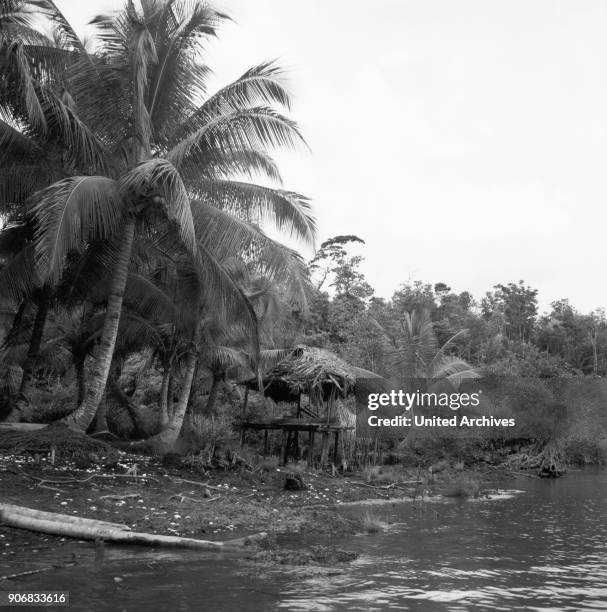 At the Magdalena River, Colombia 1960s.