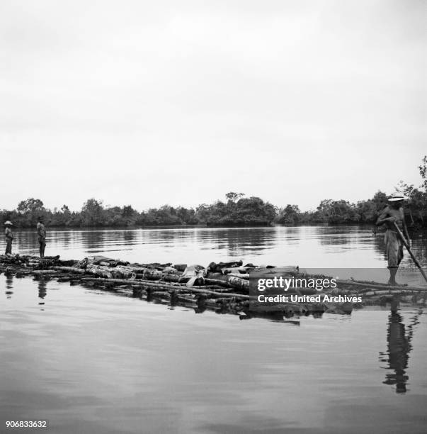 Colombia's mangrove swamps, Colombia 1960s.