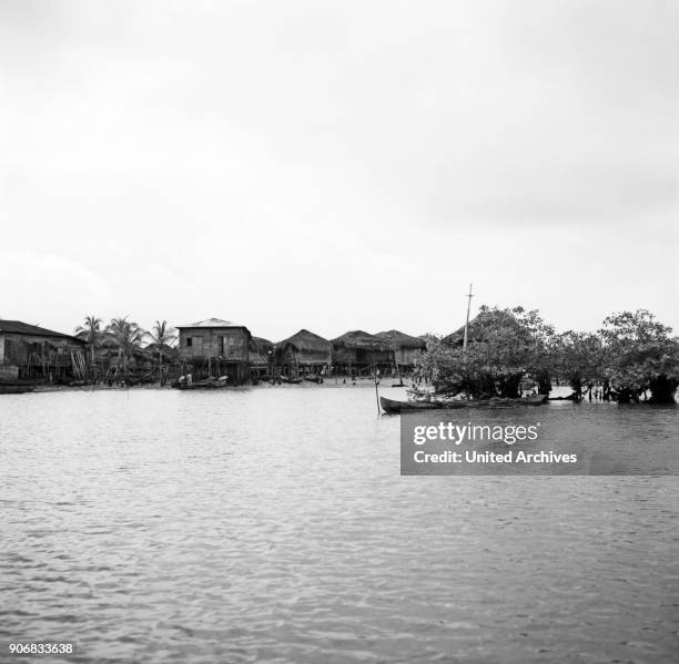 Colombia's mangrove swamps, Colombia 1960s.