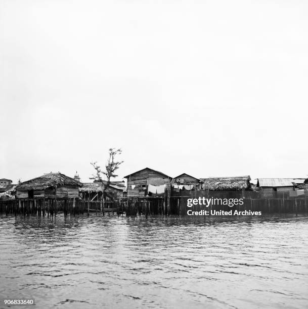 Colombia's mangrove swamps, Colombia 1960s.