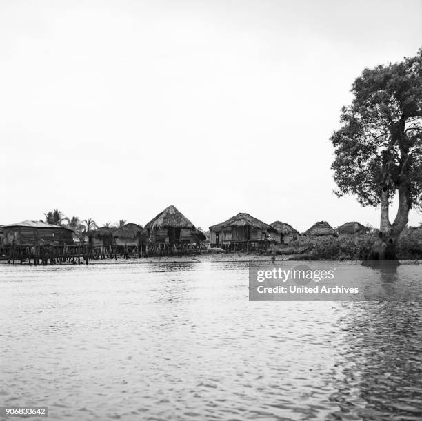 Colombia's mangrove swamps, Colombia 1960s.