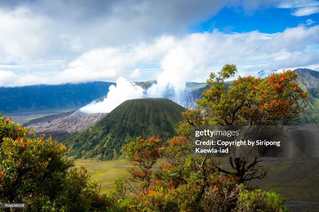 Volcanic landscape scene of the Bromo and Batok craters, Indonesia.