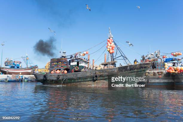 fishing harbour of essaouira, morocco - broer stock-fotos und bilder