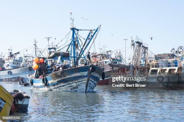 fishing harbour of essaouira, morocco - broer stock-fotos und bilder