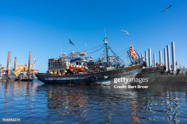 fishing harbour of essaouira, morocco - broer stock-fotos und bilder