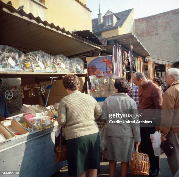 Market day in Zagreb, Croatia, Yugoslavia 1970s.