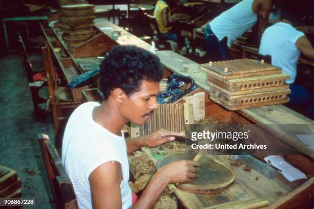 Worker in a cigar factory in the caribbean, 1980s.