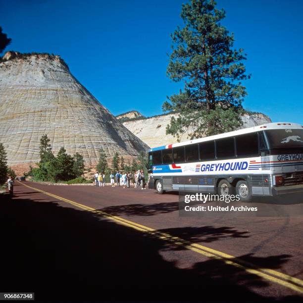 Greyhound bus brings a group of tourists to the Zion national park in Utah, USA 1980s.