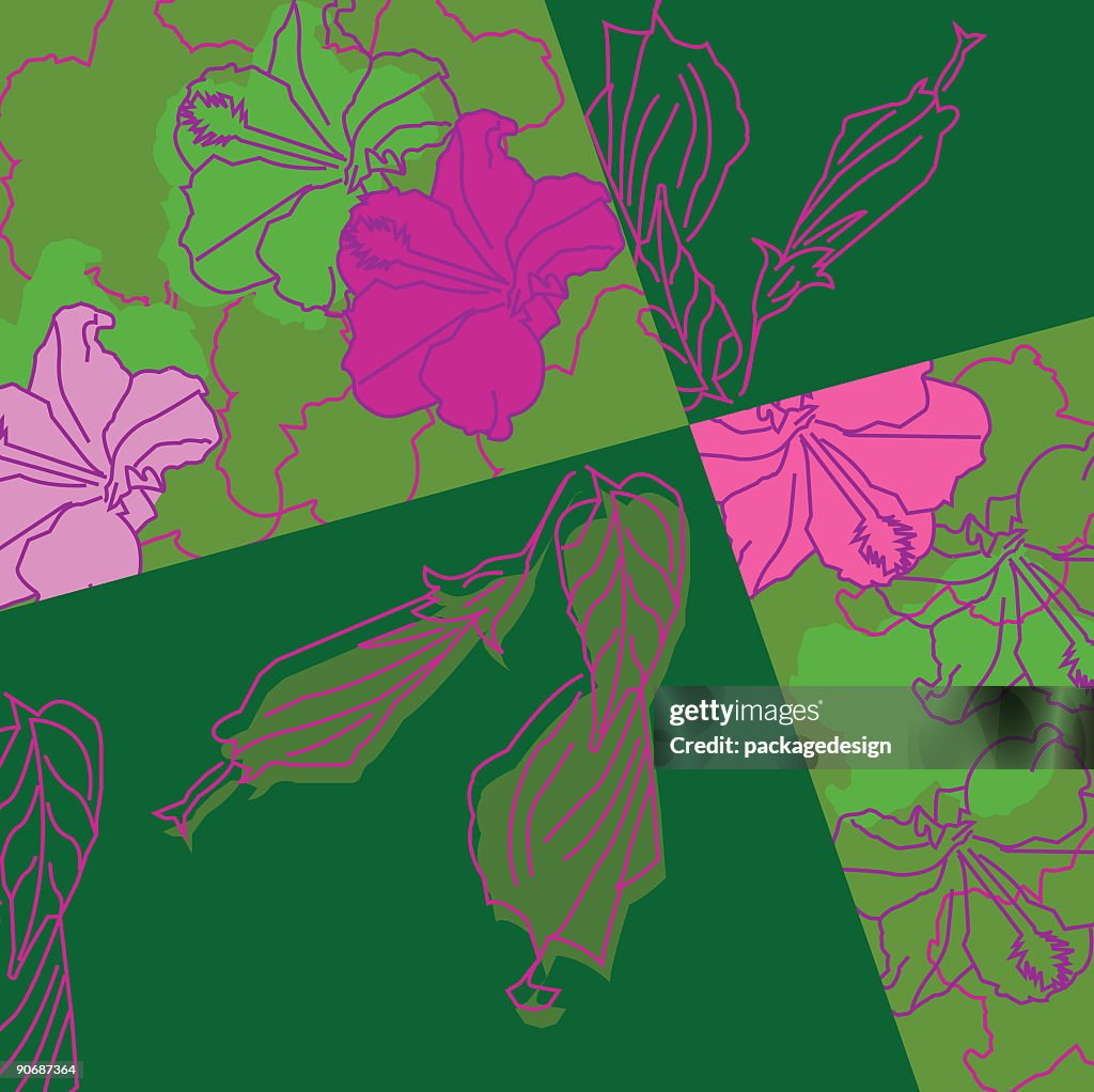Hibiscus Flower Pattern 2