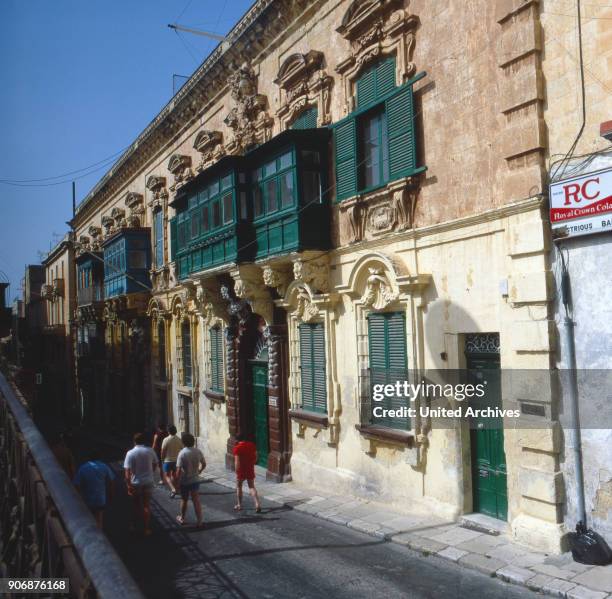 201 Maltese 1980 Stock Photos, HighRes Pictures, and Images Getty Images